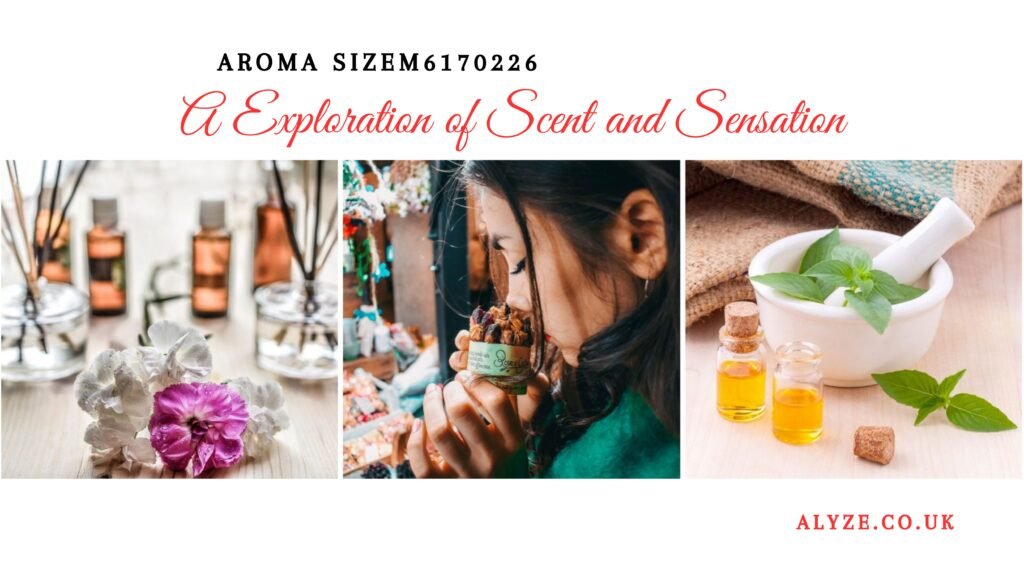 Aroma Sizem6170226