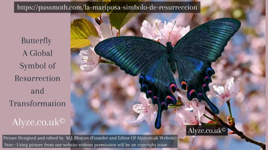 https://pussmoth.com/la-mariposa-simbolo-de-resurreccion